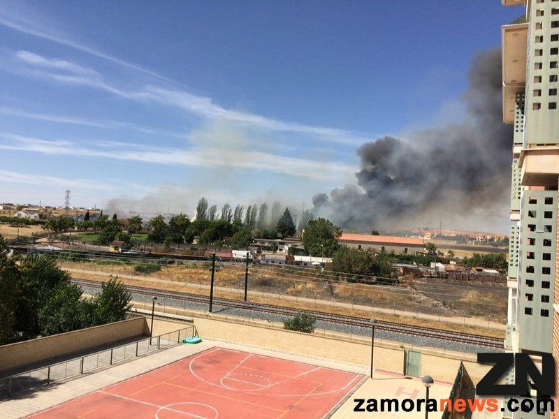 incendio_zamoranews_4_tn.jpg