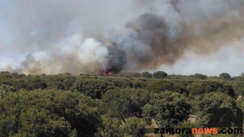 Cuatro nuevos incendios se han iniciado en la provincia esta madrugada
