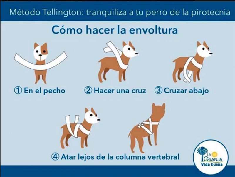 ¿Qué debo hacer para que mi perro no sufra con los petardos?