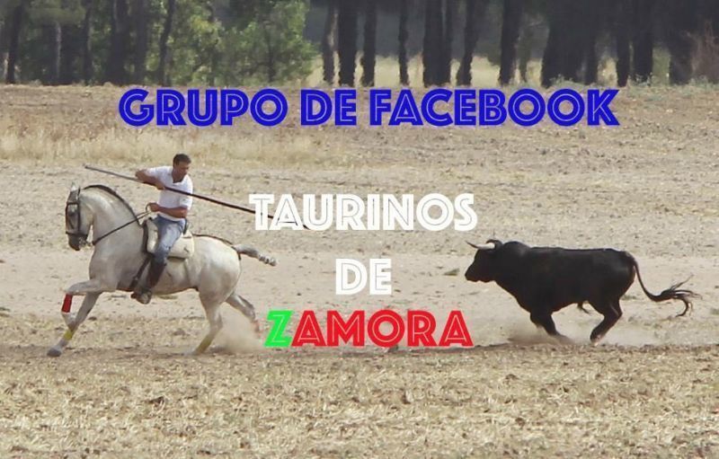Foto: del Grupo de Facebook Taurinos de Zamora