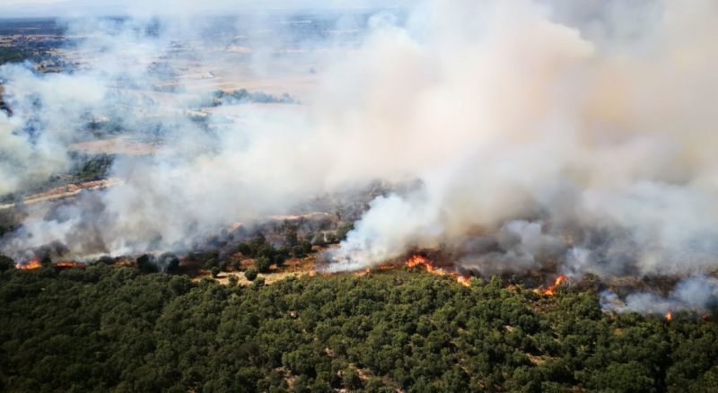 Un Incendio forestal iniciado a las 17:00 horas en Vega de Tera pasa a NIVEL 2. la N525 cortada Brif Tabuyo en la extinción