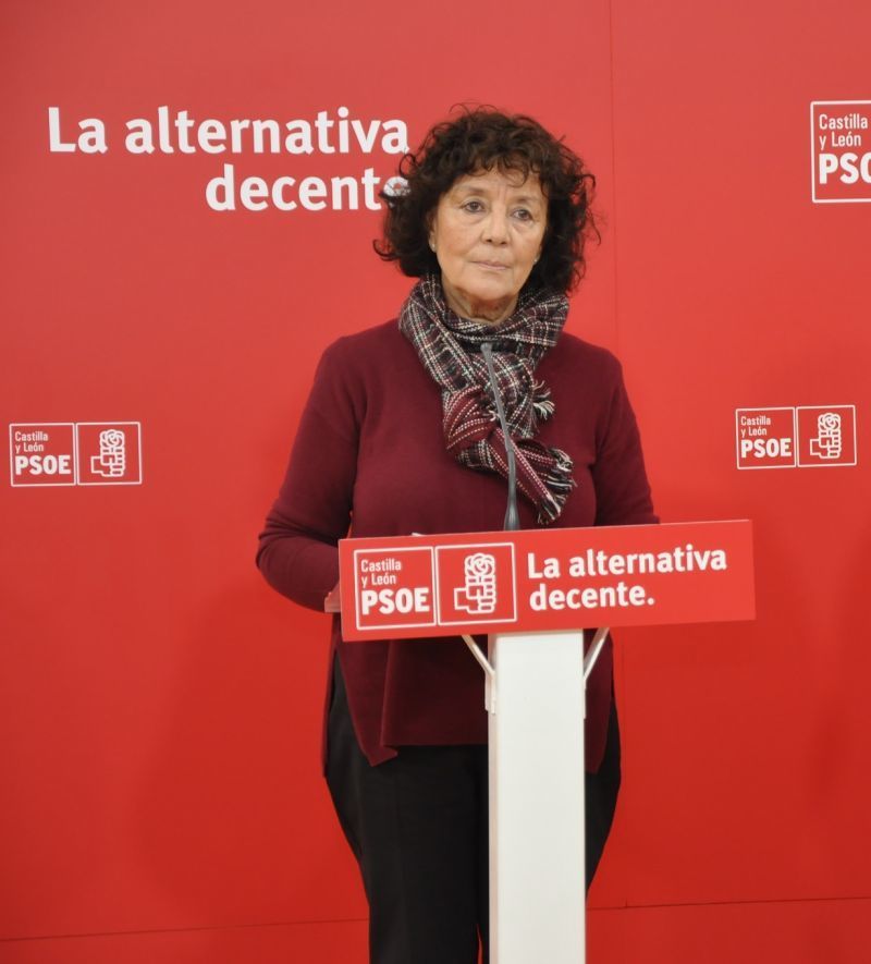 El PSOE califica de atrevimiento que el consejero saque pecho de las listas de espera