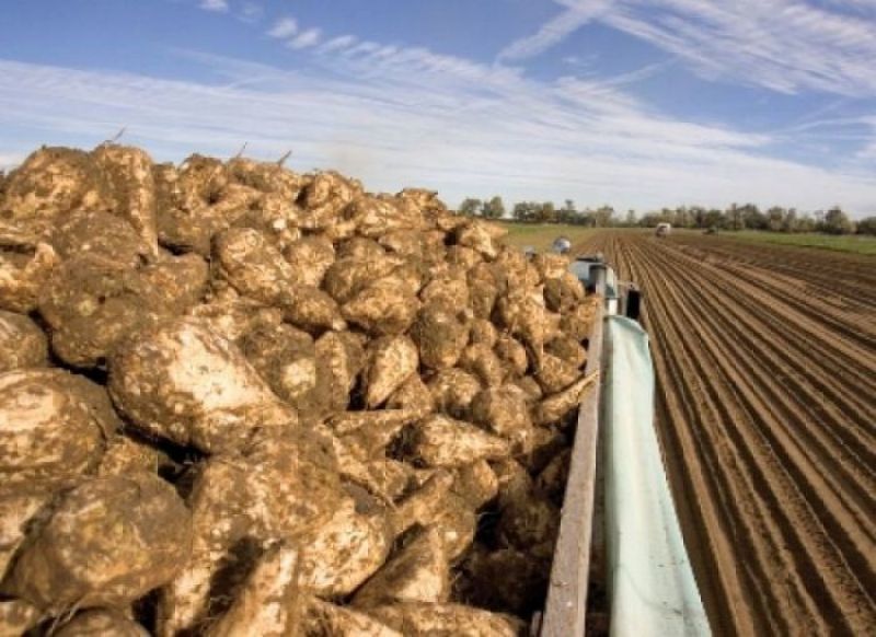 Agricultura y Ganadería destina 2,5 millones de euros al fomento de organizaciones de productores que fortalezcan la posición del sector agrícola y ganadero en la cadena alimentaria