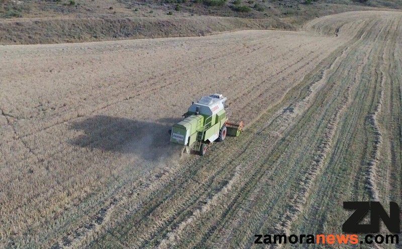 La Junta aprueba el decreto de concentración parcelaria que aportará agilidad, simplificación administrativa, transparencia y regulará las concentraciones en régimen cooperativo y las realizadas entre particulares