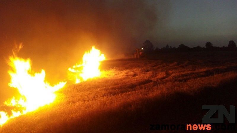 La Junta baja a nivel 1 el #IFSanMartíndelPedroso por evolución favorable, las cuadrillas november se incorporan esta noche