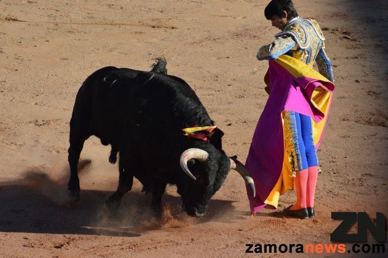 Sebastián Castella, a hombros en Zamora tras indultar a 'Gironito' (Fotos: Arturo Delgado)