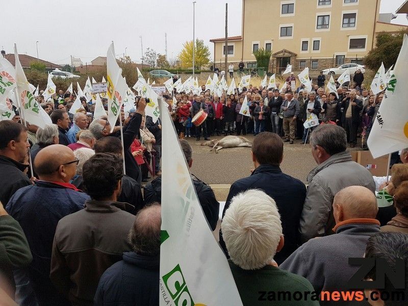 La alianza COAG - UPA convocan de nuevo una manifestación de protesta para el sábado, 30 de Septiembre en Tábara