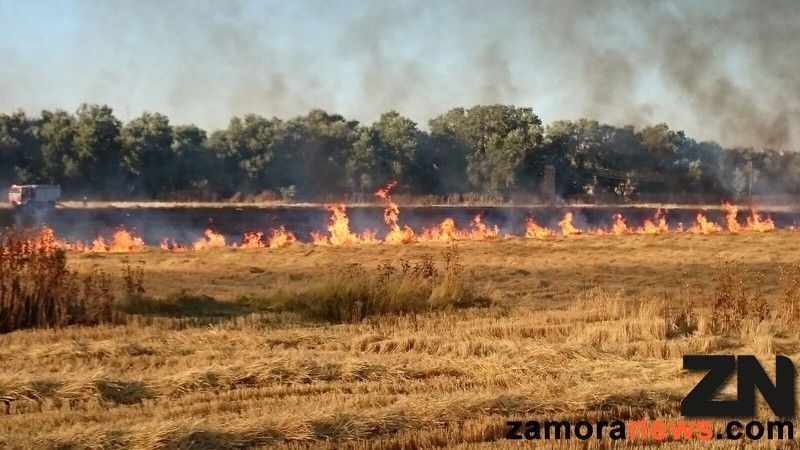 La Guardia Civil ha detenido al menos a 10 pirómanos y ha formulado 104 denuncias administrativas por delito forestal en lo que va de año