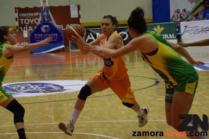 Bogicevic le da vida al Quesos el Pastor (88-71)