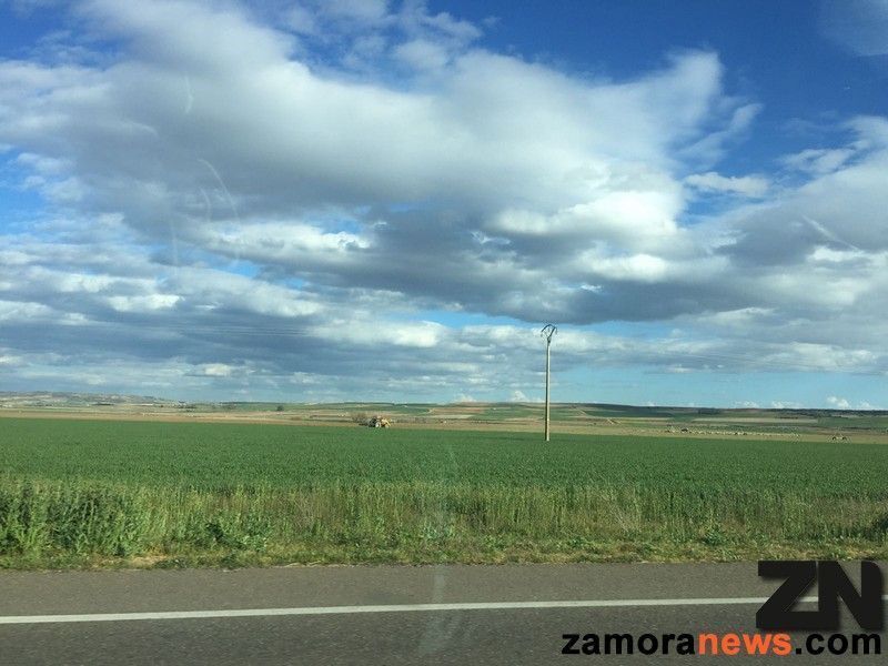 Temperaturas en ascenso y cielos despejados para comenzar la semana