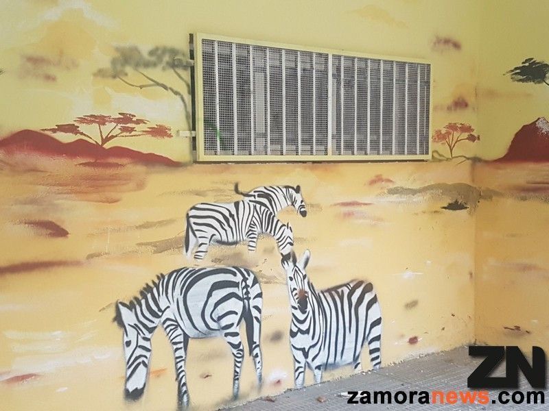 Un trocito de África en el pasaje Diego de Losada