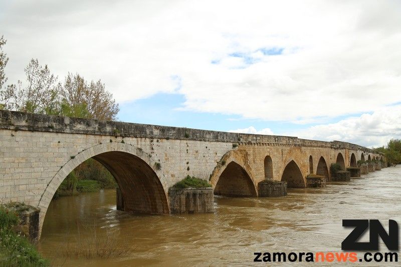 Puente de Toro