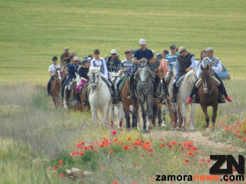 Imagen de uno de los momentos de la ruta Foto: Eva Miranda