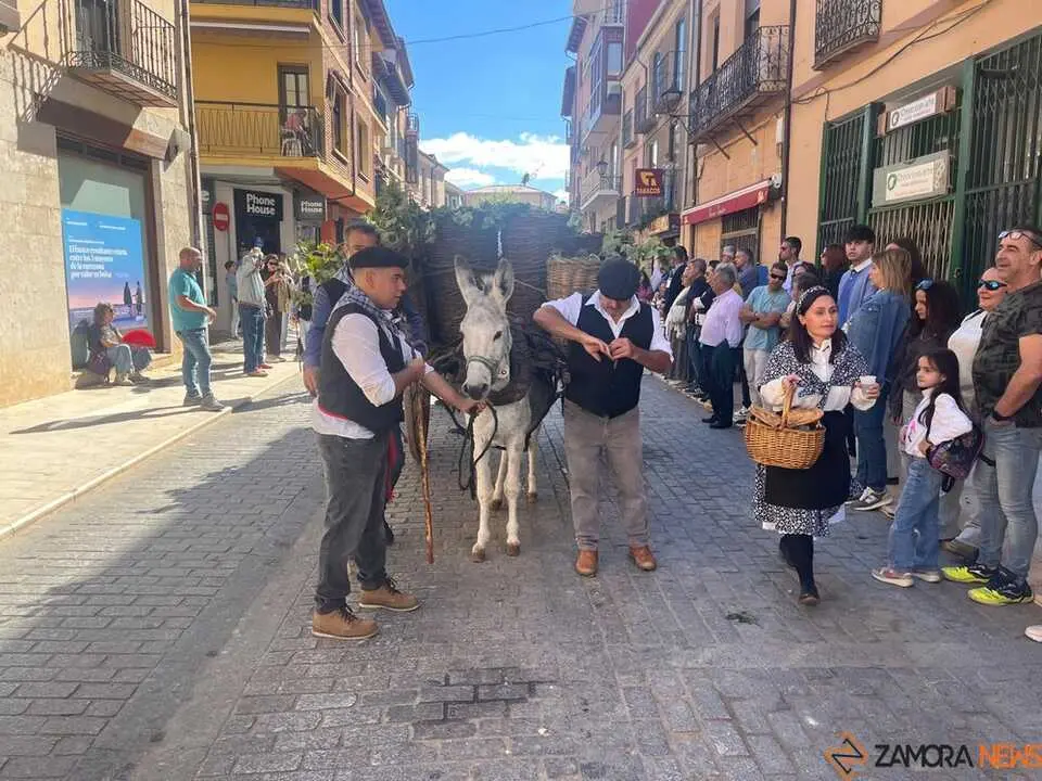 carros toro 2025_46