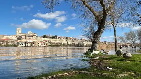 día soleado en Zamora _3
