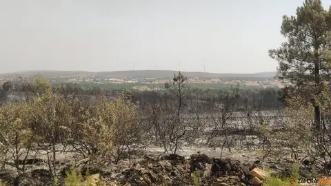 La UME actúa frente a los incendios que asolan Zamora