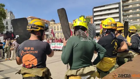 Manifestación incendios Zamora_23