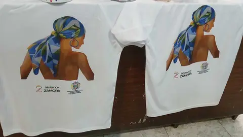 Campaña ccontra el cáncer de mama Unidos contra el cáncer Toro y Provincia de Zamora