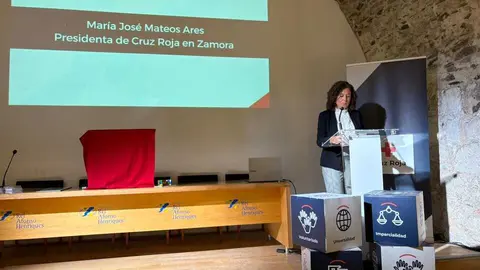 Cruz Roja3