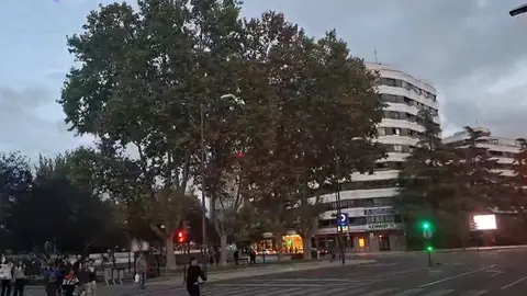 Estorninos en La Marina
