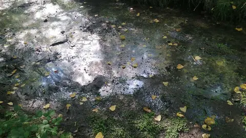 contaminacion zapatera 1