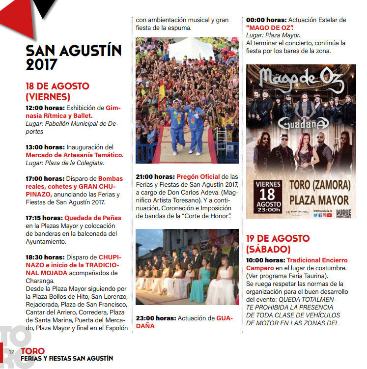 Toro_fiestas17_9.jpg