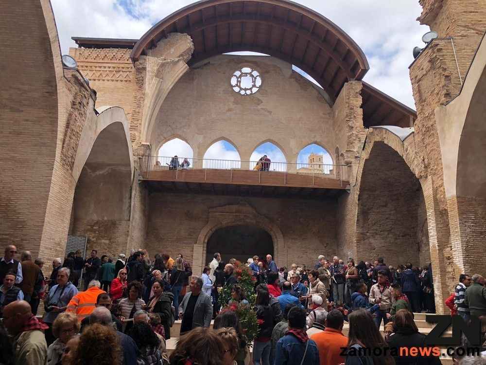 toro_hermanmiento_con_magallon2.jpg