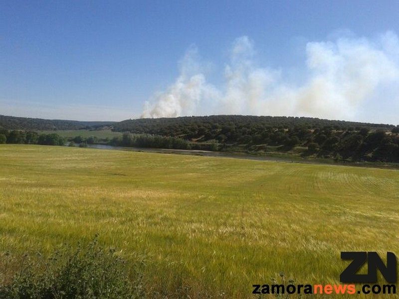 El incendio se ha originado a las 17-45 horas en el kilómetro 6 de la carretera de Almaraz