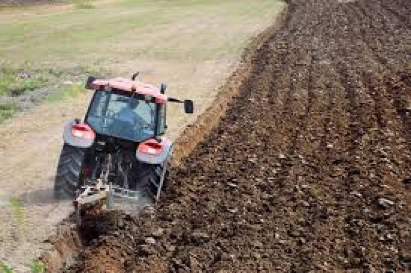 Agricultura y Ganadería triplica su apoyo a la suscripción de seguros agrarios