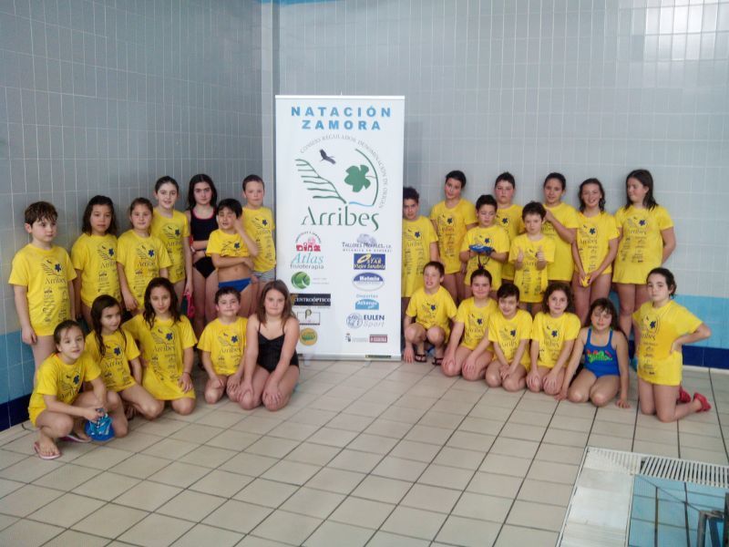 El Natación Zamora obtiene grandes resultados en la liga benjamín