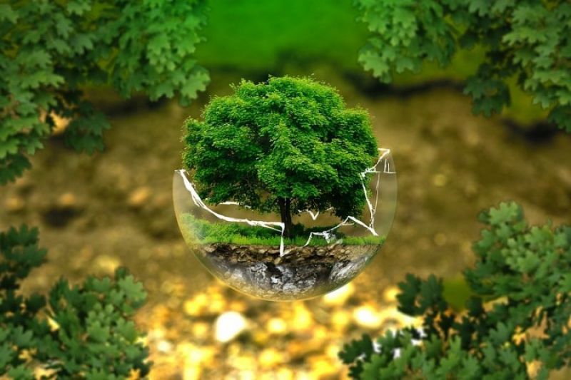 Hoy es el día mundial de la Educación Ambiental