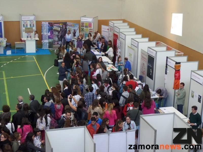 El Campus Viriato acoge este miércoles la feria de bienvenida