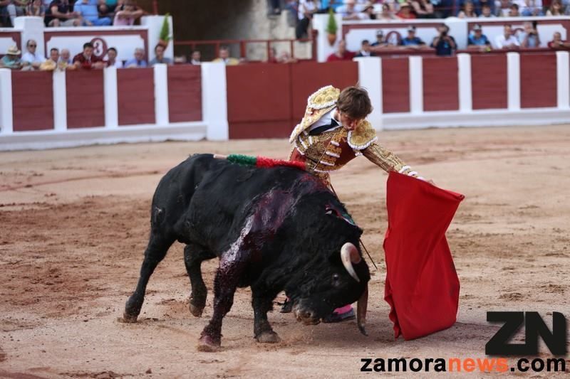 Desde hoy el mundo de la tauromaquia tiene web en la Junta de Castilla y León