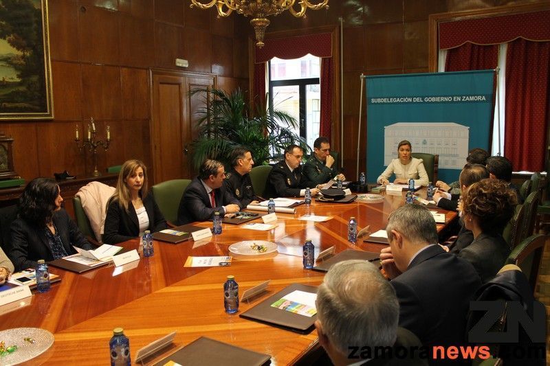 Reunión del 'Plan Mayor Seguridad' celebrada hoy en Zamora.