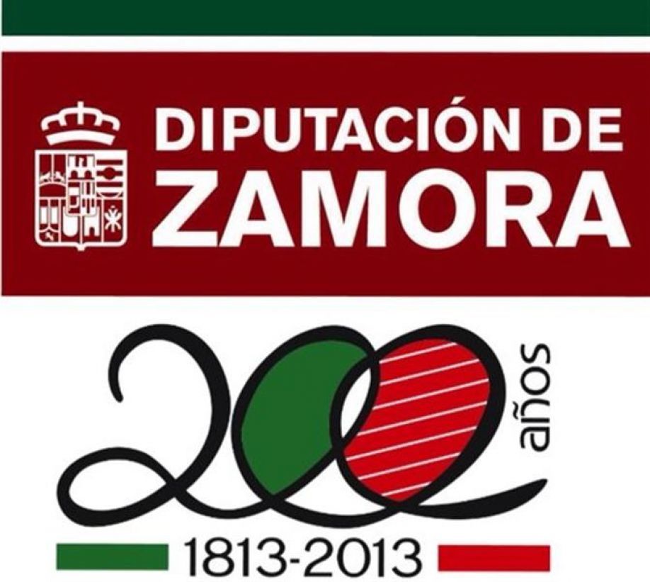 Logotipo del bicentenario de la Diputación de Zamora.