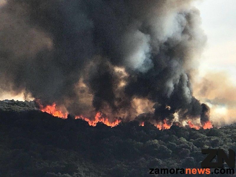 Un incendio calcina dos hectáreas de cebada en Villamayor de Campos