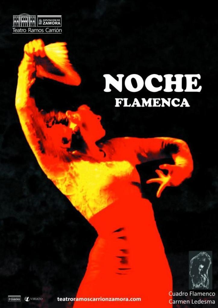 La Noche Flamenca llega mañana al Teatro Ramos Carrión