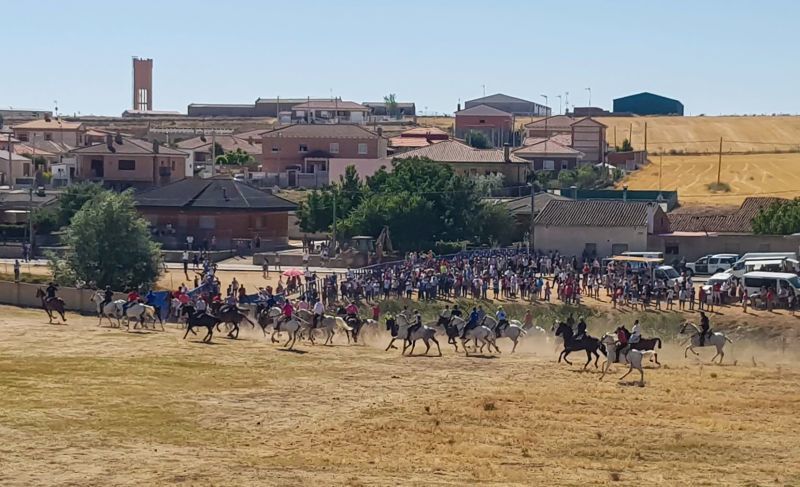 Primer encierro de prado en Fuentelapeña
