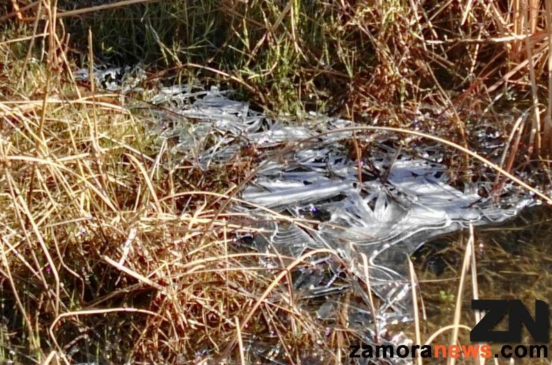 Temperaturas en descenso y limitada la amplitud térmica del bajo cero de Sanabria a los 10ºC a mediodía en la provincia de Zamora