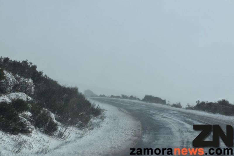 La red secundaria de Zamora presenta problemas de hielo y nieve en más de un centenar de vías, esta es la relación de tramos