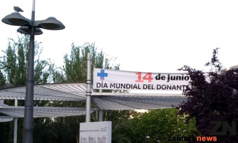 Dona Sangre, comparte vida, si, hoy mejor que mañana, hazte donante