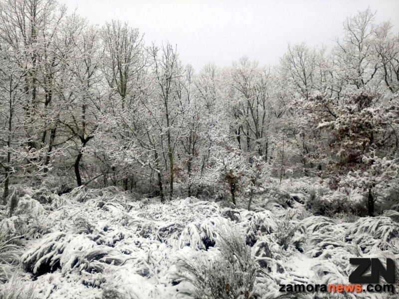 La nieve primavera llega a la comarca de Sanabria