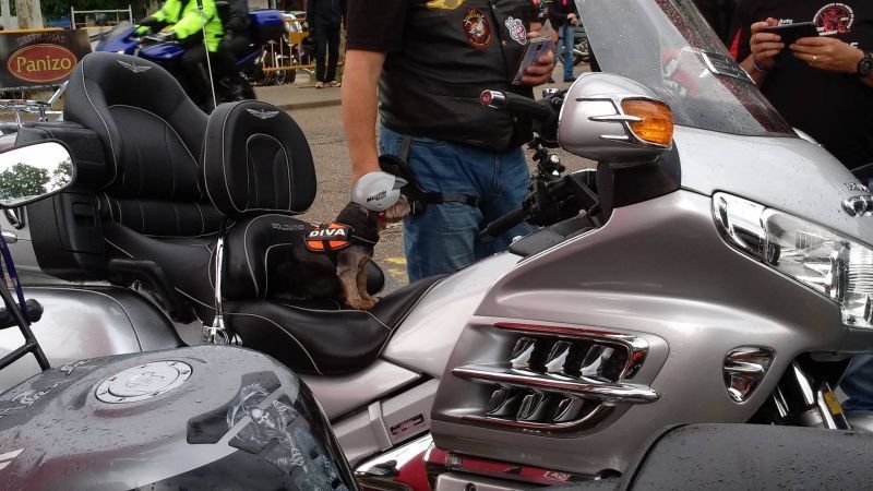 El Club GoldWing Andalucía visitará Zamora del 20 al 25 de agosto, cerca de medio centenar de hondas sureñas surcarán las carreteras de la provincia