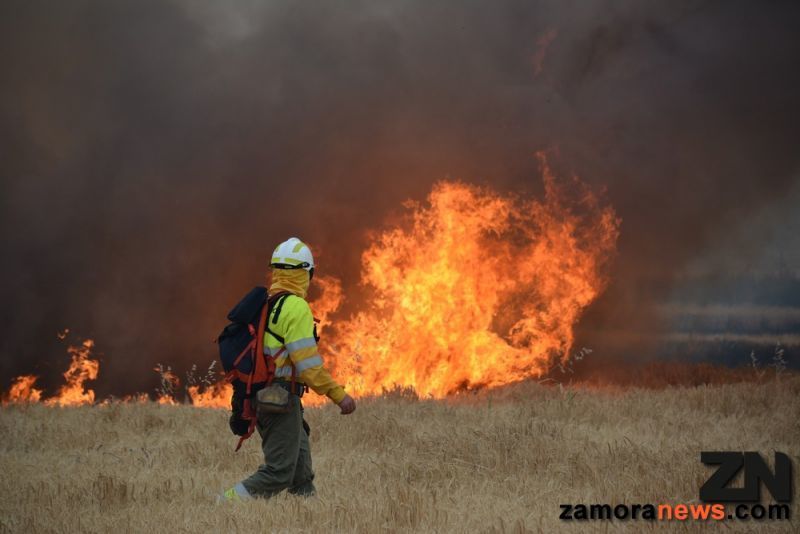 Radiación ultravioleta de 10 y riesgo de incendios muy alto en toda la provincia de Zamora para toda la semana