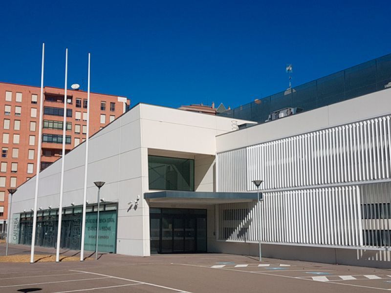 Federación Autismo CyL se suma a la exigencia para la puesta en marcha del Centro de Referencia Estatal de Autismo