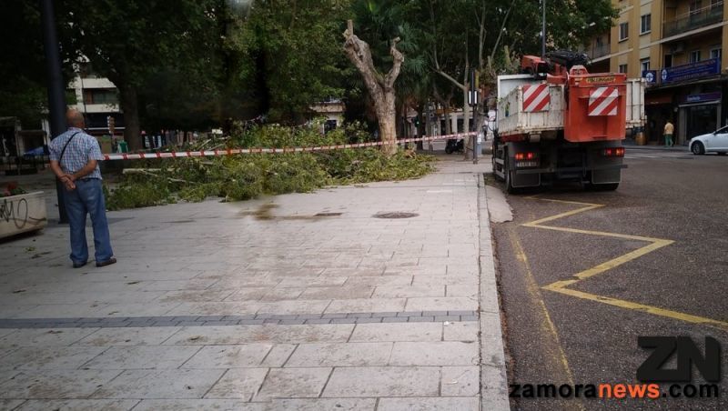 Tras la tempestad, la relativa calma matutina con trabajos de recogida de ramas y troncos, también la valoración de daños por el vendaval