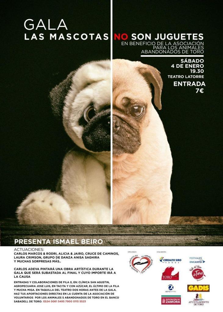 Cartel promocional "Las mascotas no son juguetes" | Imagen cedida a Zamora News