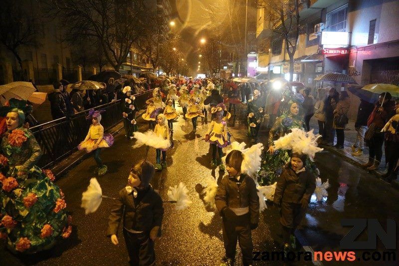 Martes de Carnaval pasado por agua en Zamora