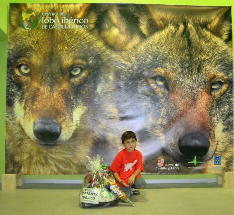 El Centro del Lobo Ibérico de Castilla y León en Robledo, Zamora recibe el visitante número 100.000