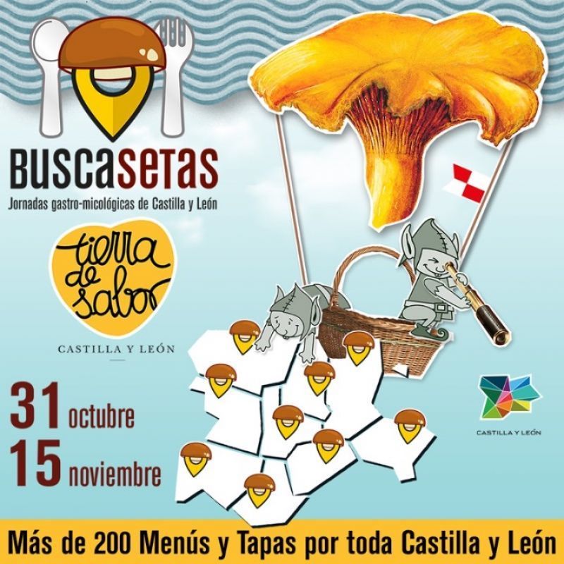 Comienzan una nueva y esperada edición de las Jornadas Gastro-micológicas Buscasetas
